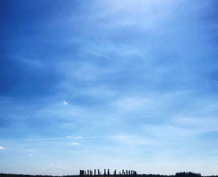 De grafheuvels op de Regte Heide