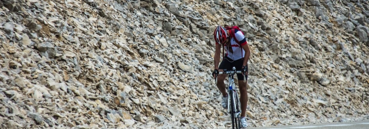 De Reus van de Provence