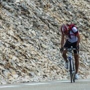 De Reus van de Provence De Reus van de Provence