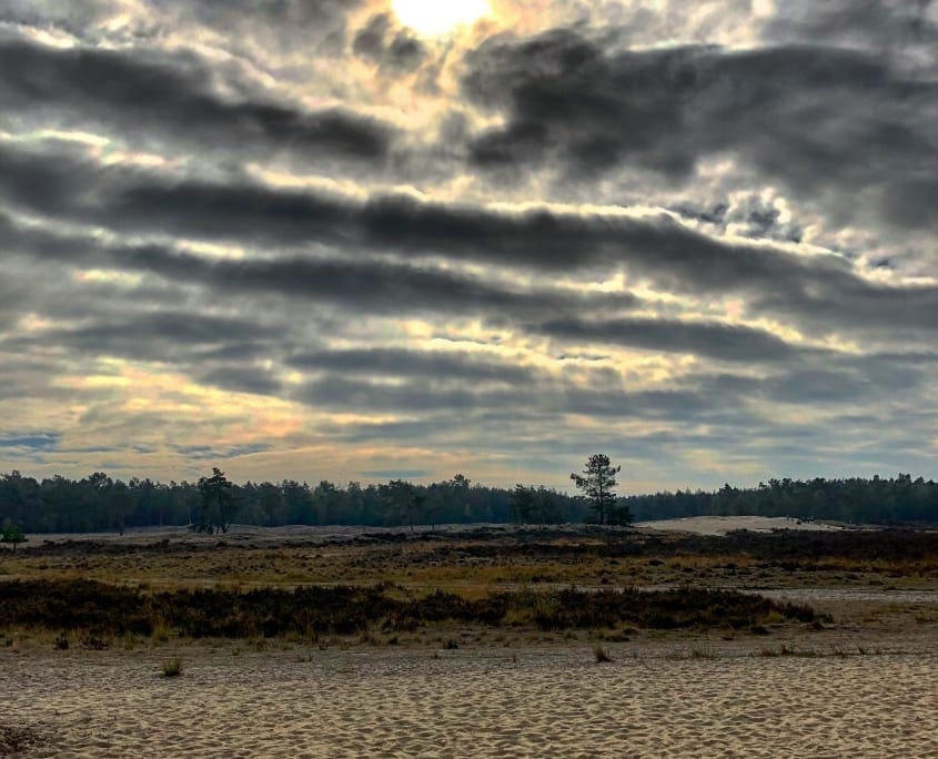 Weidse zichten op de Loonse en Drunense Duinen