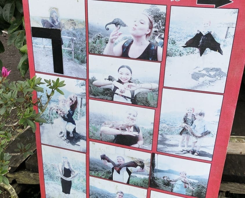 Ook dit kwam ik te vaak tegen: op de foto met levende wilde dieren. Schaam je kapot als je dit doet.