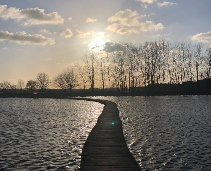 Een plankier door een van de vennetjes van Huis ter Heide De Moer