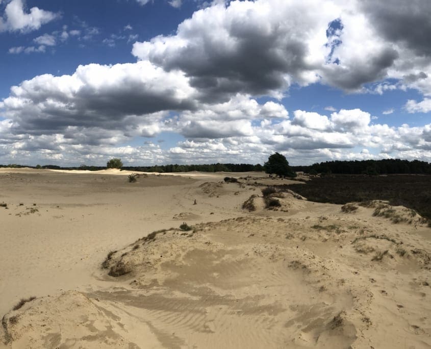 Weidse zichten op de Loonse en Drunense Duinen