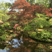Japanse Tuin in Den Haag