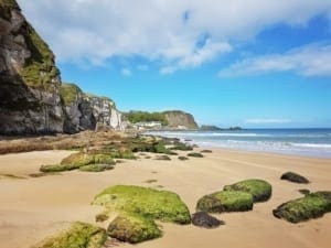 Strand van White Park Bay