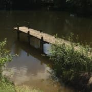 Zwemmeertje op de camping