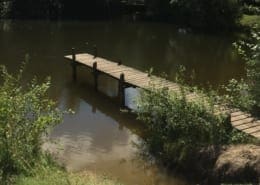 Zwemmeertje op de camping