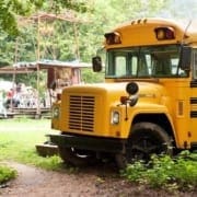 Camping de Lievelinge: bus Camping de Lievelinge: bus