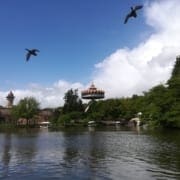 Uitzicht op de Efteling Uitzicht op de Efteling