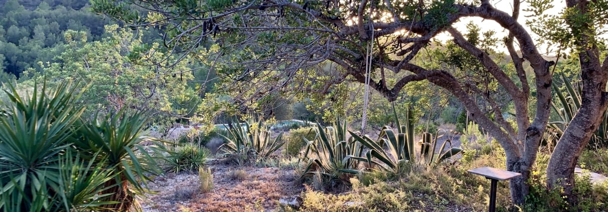 Uitzicht op het zwembad