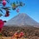 Pico de Fogo