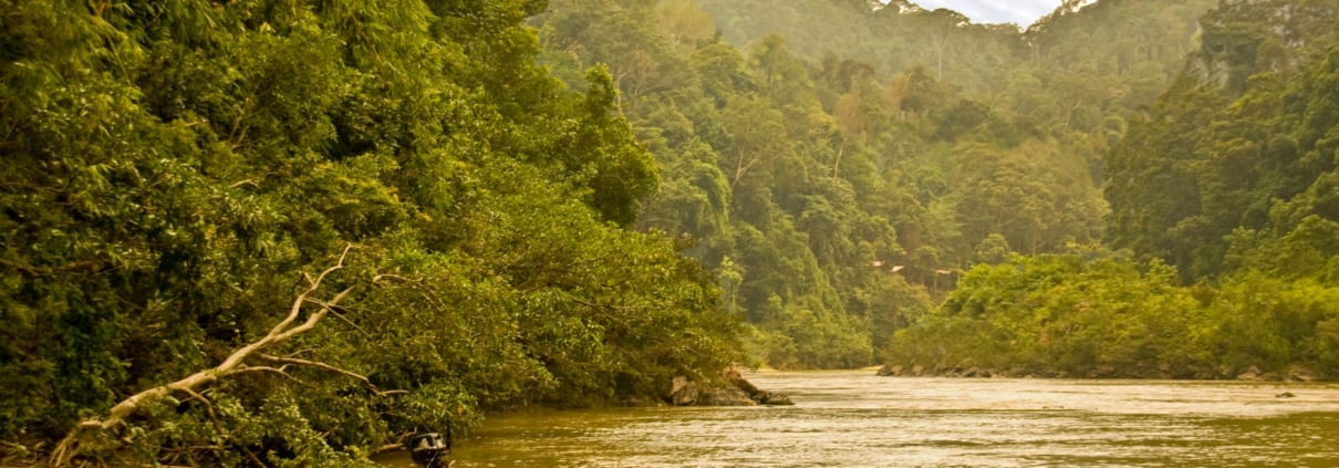Taman Negara