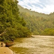 Taman Negara Taman Negara
