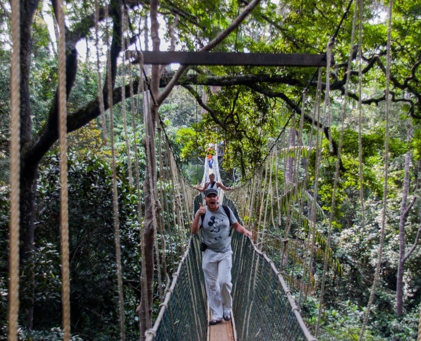 Canopy walkway in Taman Negara