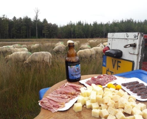 Lekkers bij de schaapjes
