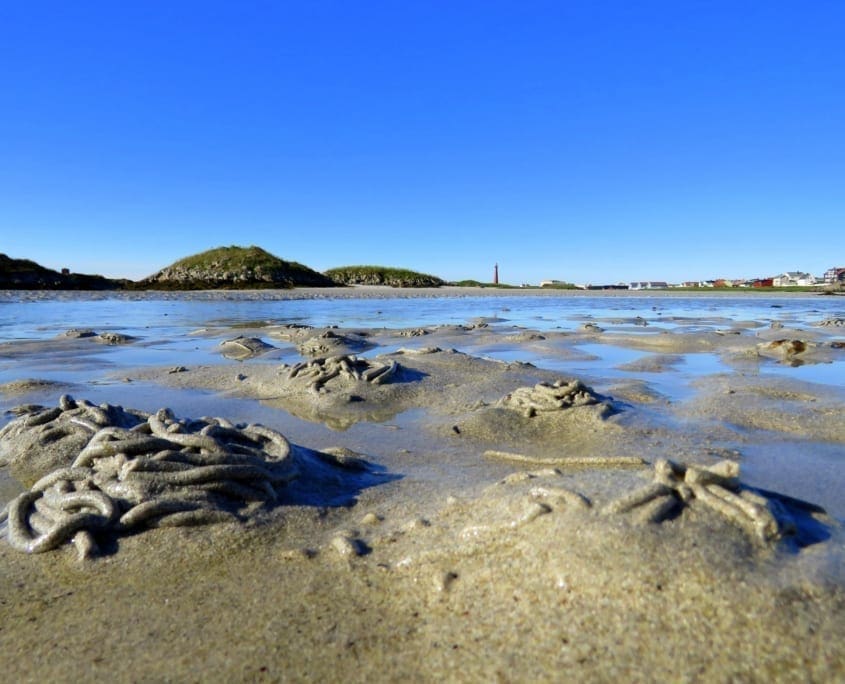 Laagtij bij Andenes op de Vesterålen