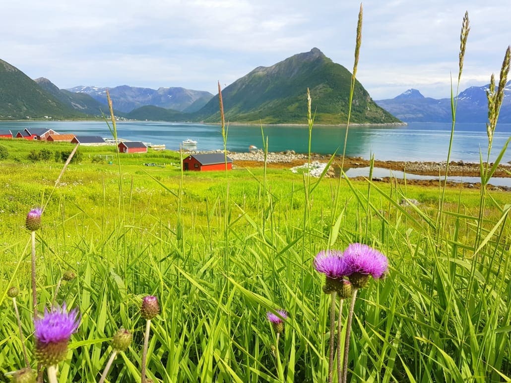 Sifjord aan de rand van Ånderdalen op Senja