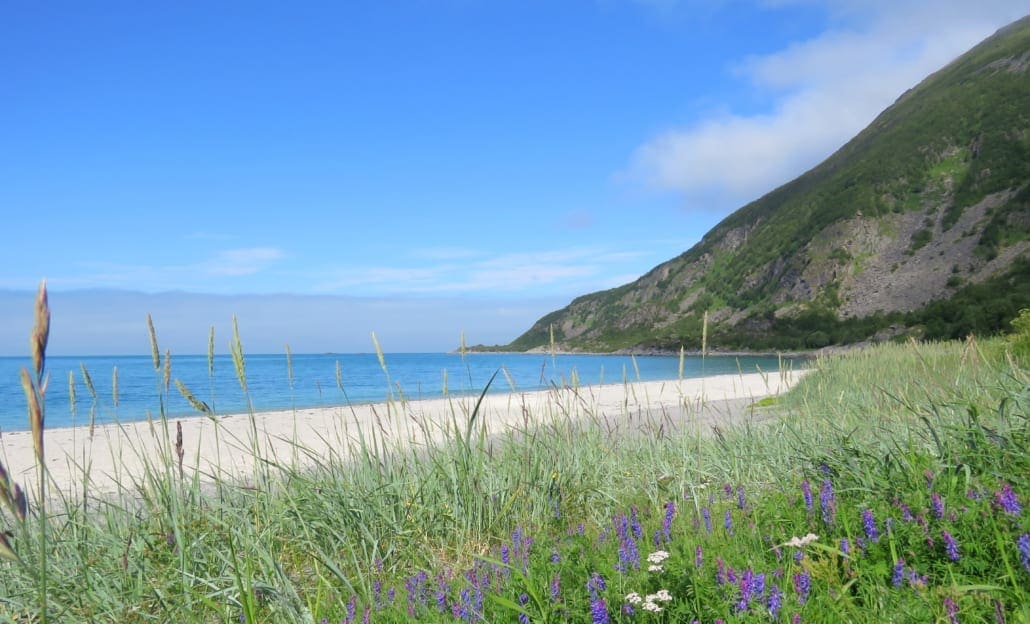 Wit zandstrand op Senja
