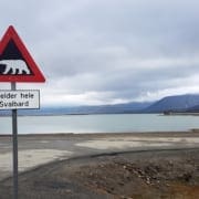 Pas op voor ijsberen op Spitsbergen Pas op voor ijsberen op Spitsbergen