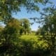 Twents coulisselandschap