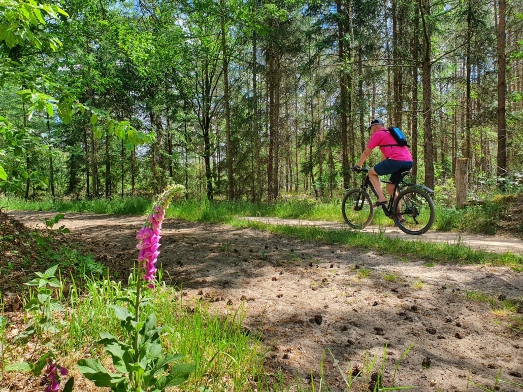 Fietsen door Lutterzand in Twente