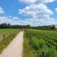 Fietsen door Noordoost-Twente