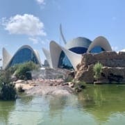 L’Oceanografic L’Oceanografic