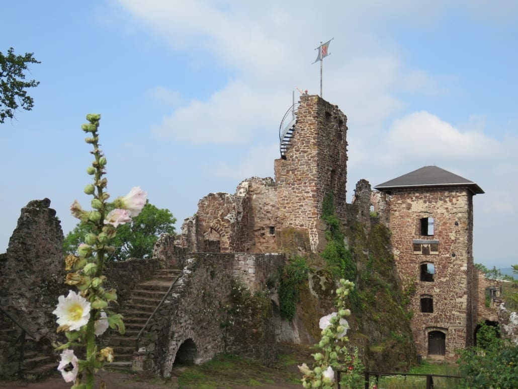 Burgruine Hohnstein in de Harz