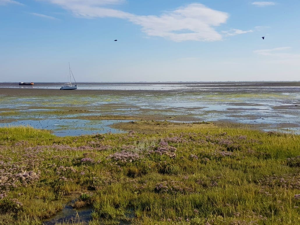 Het Wad van Schiermonnikoog bij laagtij