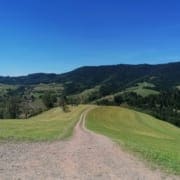 IMG_20200729_140823