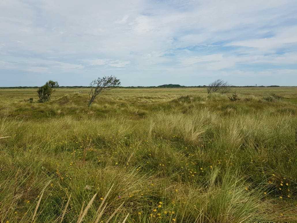 Panorama in Kobbeduinen op Schiermonnikoog