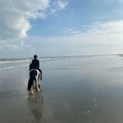 Niet-stadse manieren om je te verplaatsen