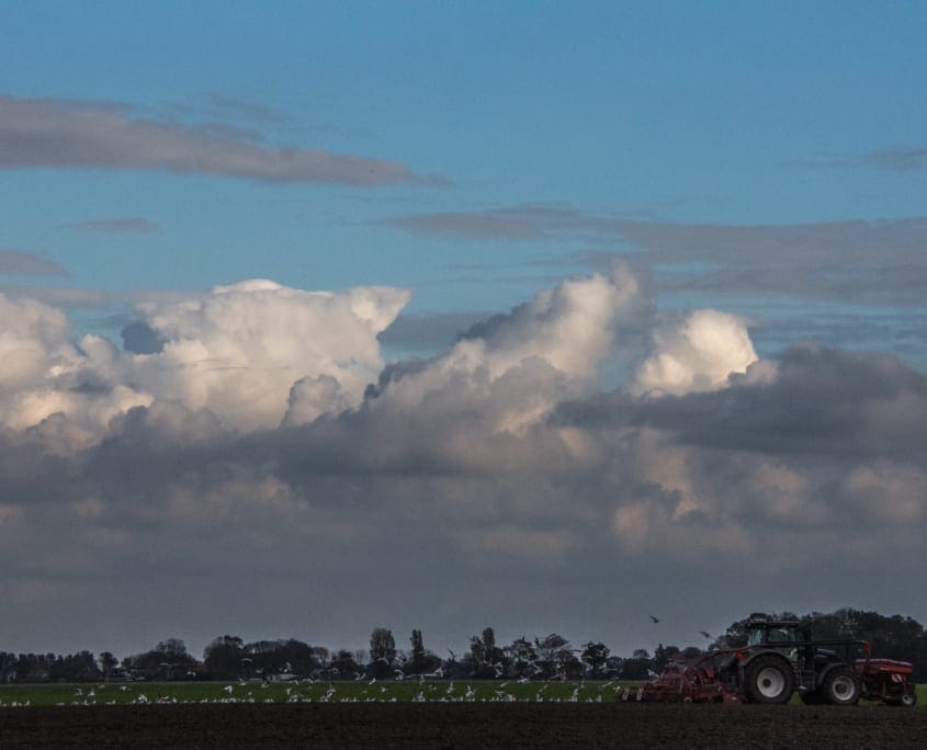 Oogstseizoen in Friesland