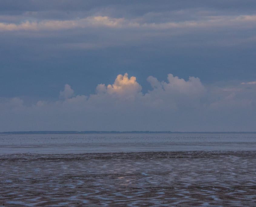 Lopend langs de Friese Waddenzeekust: in de verte Ameland