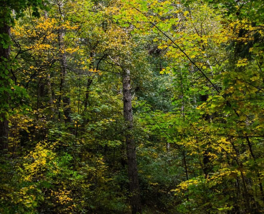 Afwisselende natuur tijdens je wandeling over Ameland