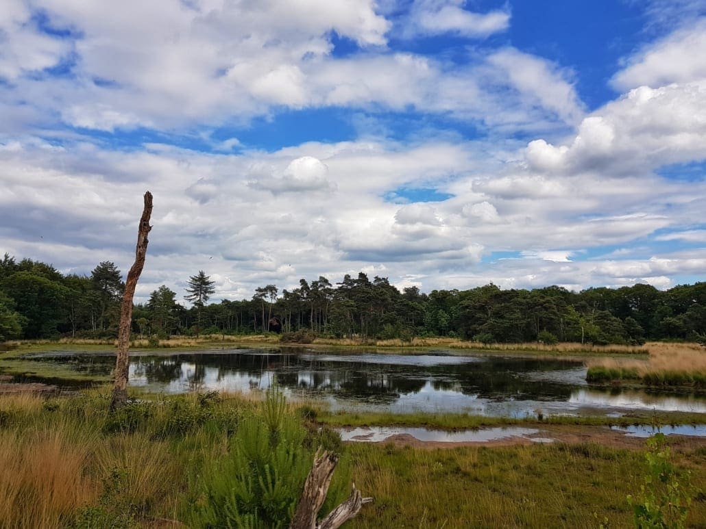 Wandelen rondom Tilburg: Halve Maan