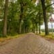 Een stukje Parijs-Roubaix in je tourtocht: voor minder dan slecht wegdek kom ik m'n bed niet uit.