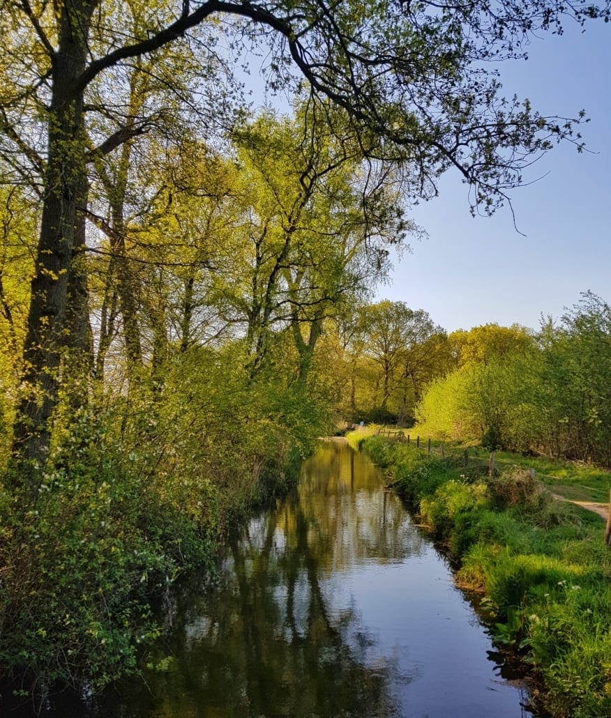Wandelen rondom Tilburg: over het Eekhoornpad langs de Oude Leij