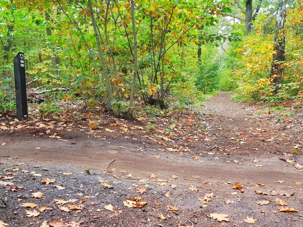 Wandelen rondom Tilburg: pas op voor MTBers