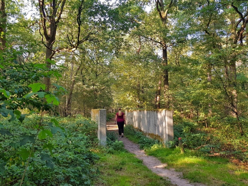 Wandelen rondom Tilburg: vreemde muurtjes in het Noorderbos