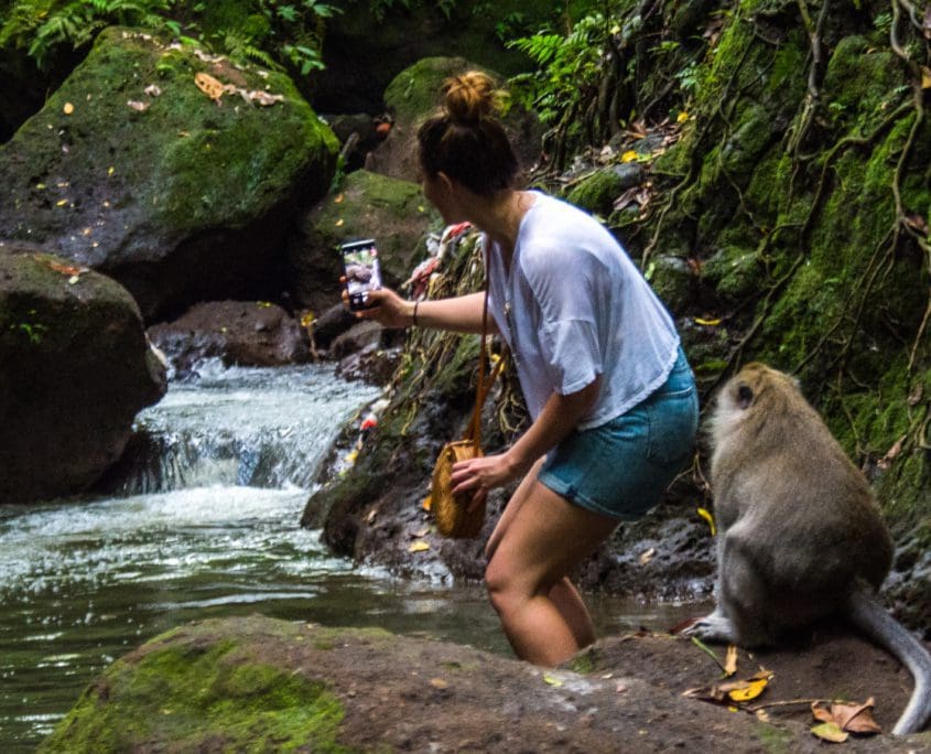 Op de foto met de aapjes. Kan, kijk wel uit dat ze er niet met je telefoon vandoor gaan.