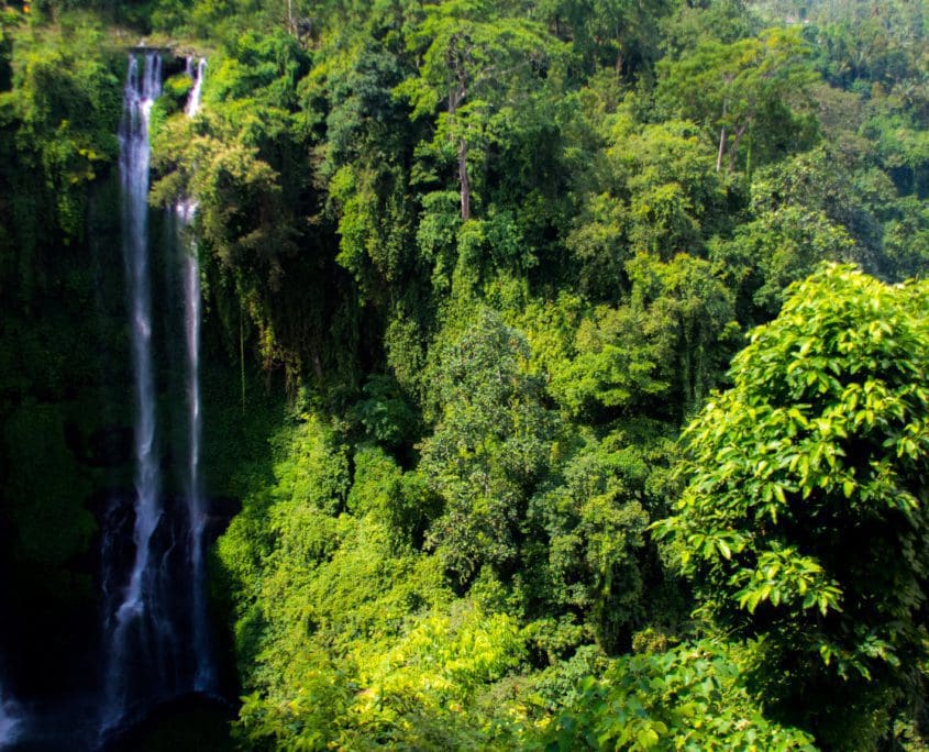 De Sekumpul watervallen zijn er een stuk of zeven.