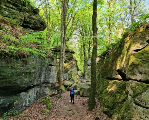 Typisch Müllerthal trail